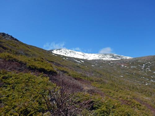 Looking up at the trail