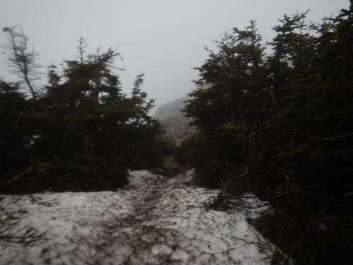 Franconia Ridge trail