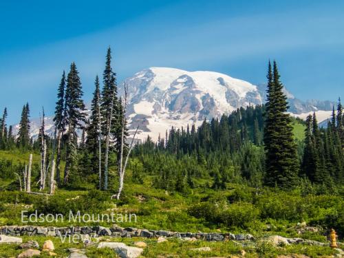 Mt Rainier seen from paradise parking